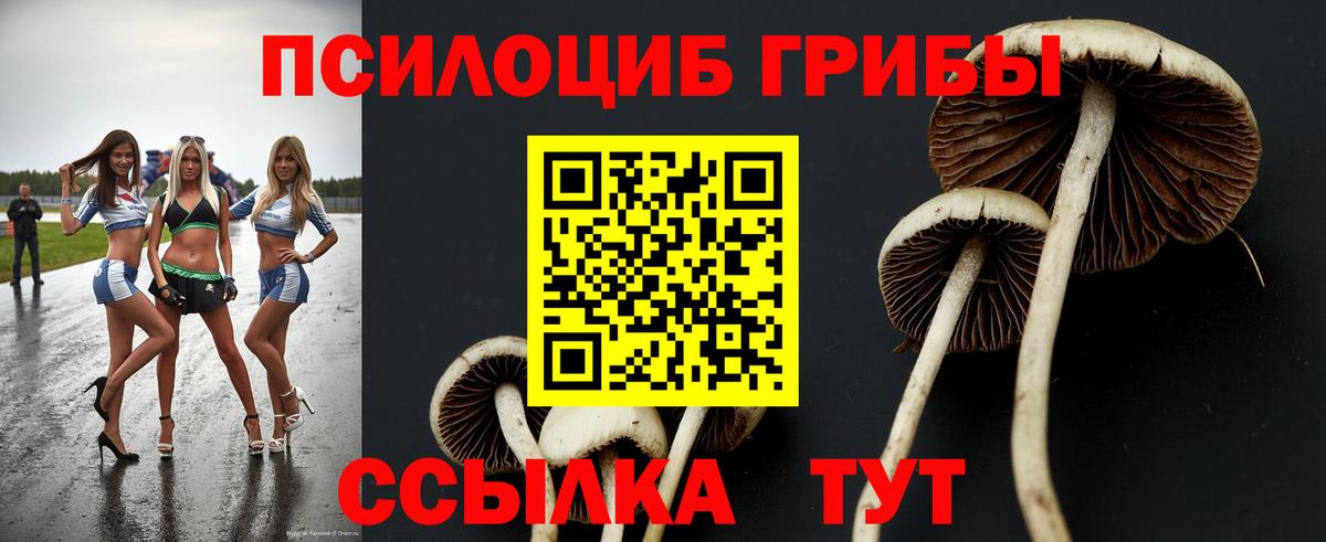 Уссурийск  Галлюциногенные грибы GOLDEN TEACHER  Вход с VPN 